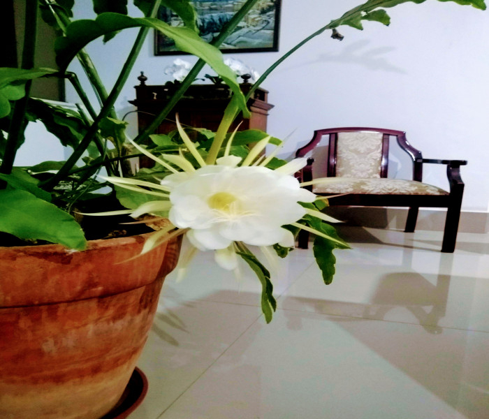 Imagem 6 da galeria do anúncio: Quarto excelente local av Silva Lobo e  Barão Homem de Melo