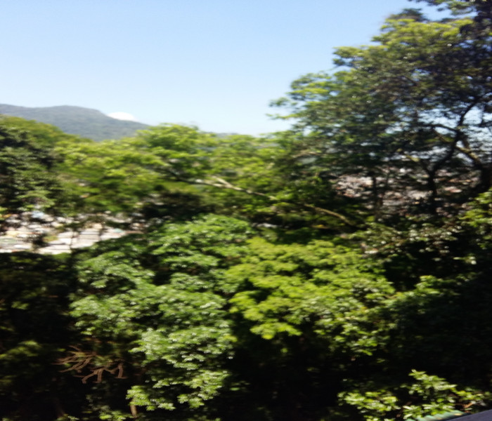 Imagem 1 da galeria do anúncio: Quarto individual com vista verde