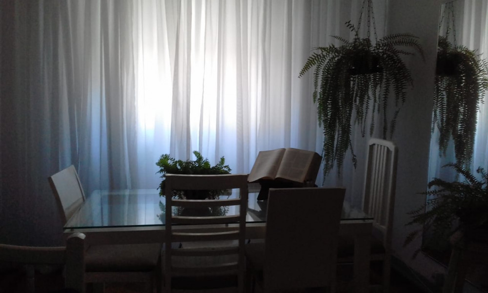 Imagem 3 da galeria do anúncio: Viva com paz