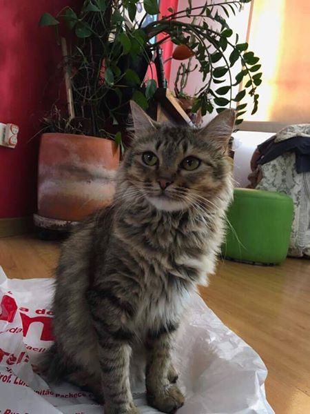 Imagem 13 da galeria do anúncio: SUÍTE ENORME/ Ana Rosa/ Mulher /PORTA ENTRADA INDEPENDENTE