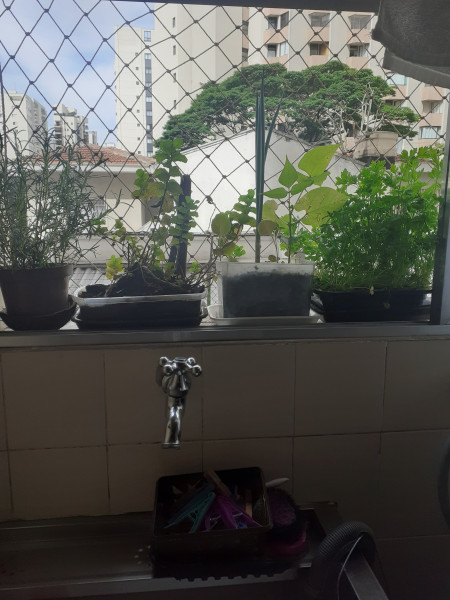 Imagem 8 da galeria do anúncio: ALUGO VAGA MOÇAS