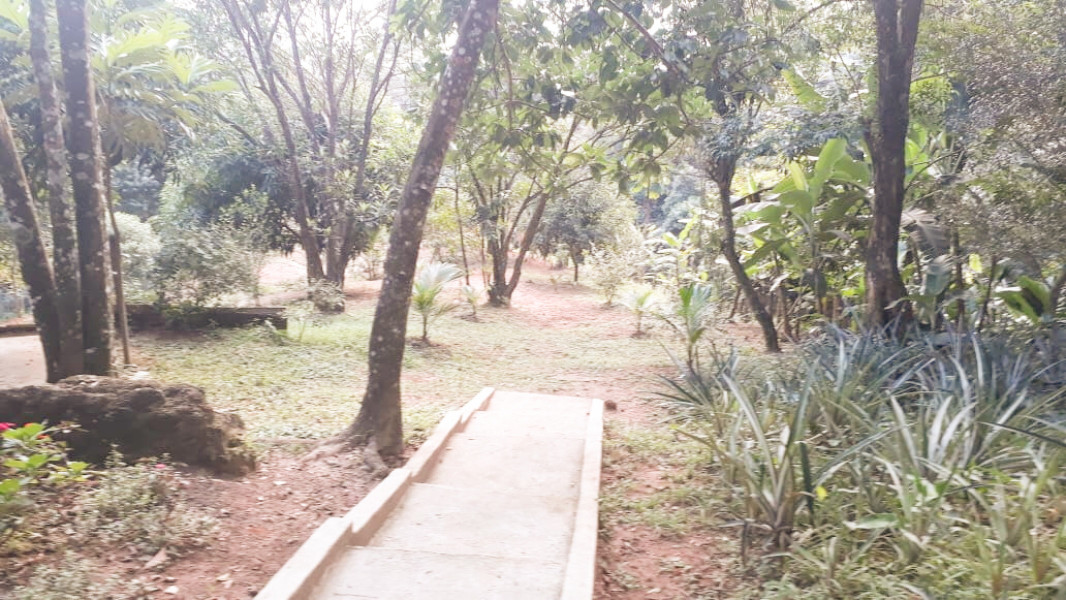 Imagem 30 da galeria do anúncio: Suites em sitio, no meio da floresta. Serra de Petropolis.