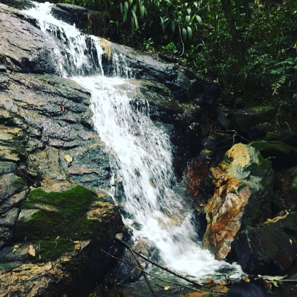 Imagem 1 da galeria do anúncio: Suites em sitio, no meio da floresta. Serra de Petropolis.