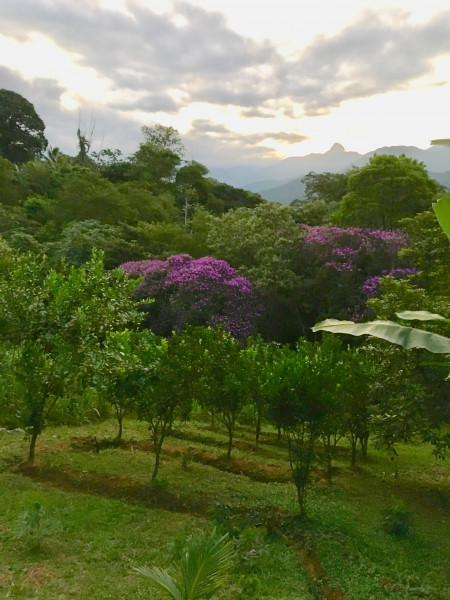 Imagem 13 da galeria do anúncio: Suites em sitio, no meio da floresta. Serra de Petropolis.