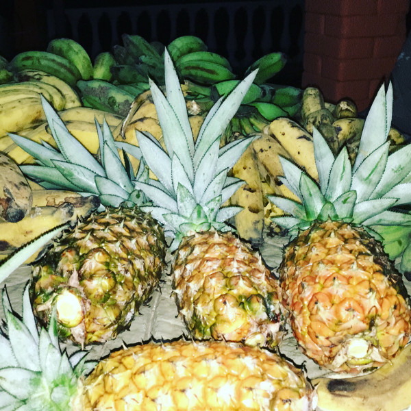 Imagem 17 da galeria do anúncio: Suites em sitio, no meio da floresta. Serra de Petropolis.