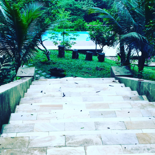 Imagem 12 da galeria do anúncio: Suites em sitio, no meio da floresta. Serra de Petropolis.