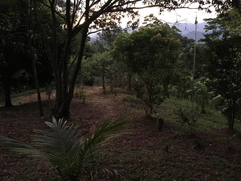 Imagem 15 da galeria do anúncio: Suites em sitio, no meio da floresta. Serra de Petropolis.