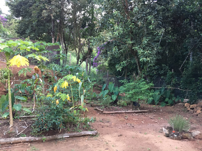 Imagem 14 da galeria do anúncio: Suites em sitio, no meio da floresta. Serra de Petropolis.