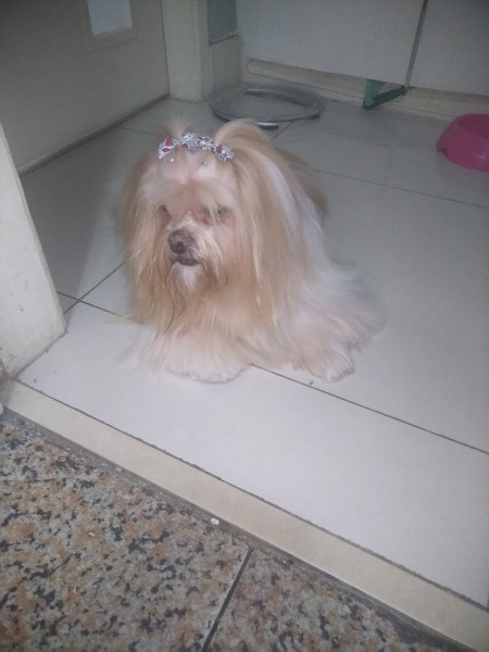 Imagem 1 da galeria do anúncio: Quarto na praia!