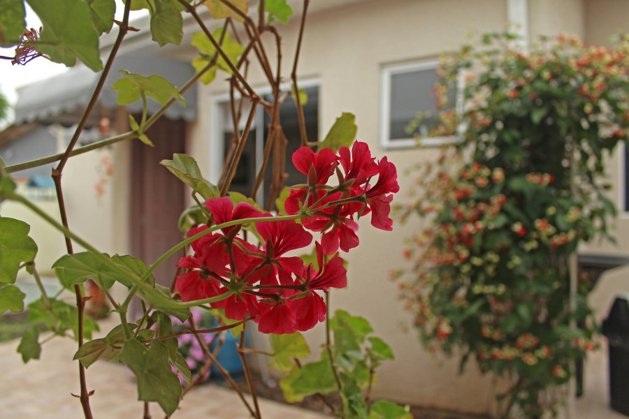 Imagem 13 da galeria do anúncio: Quarto mobiliado