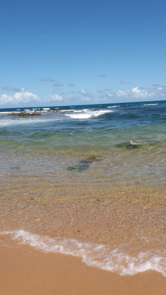 Imagem 3 da galeria do anúncio: CASACOMPART🏠