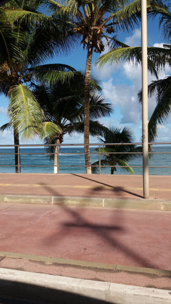 Imagem 4 da galeria do anúncio: CASACOMPART🏠