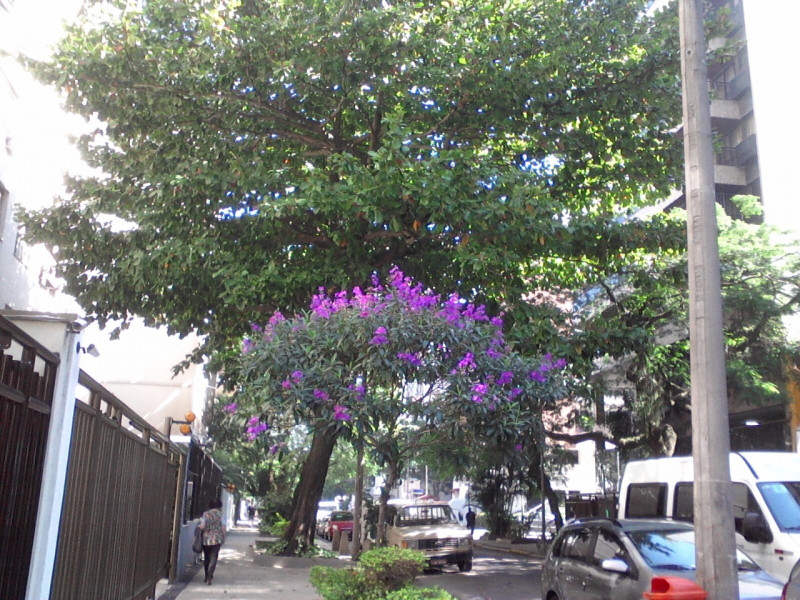 Imagem 1 da galeria do anúncio: Alugo Quarto Individual para moca- Ipanema