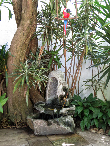 Imagem 10 da galeria do anúncio: Otima casa, com uma excelente atmosfera