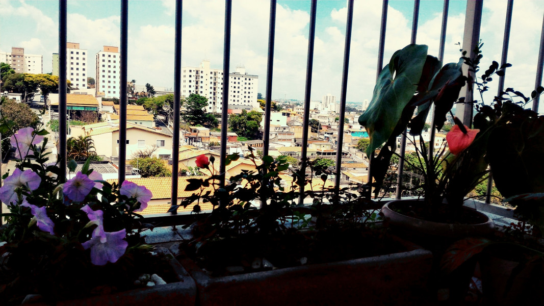 Imagem 16 da galeria do anúncio: Cenesp/Transamerica/Credicar