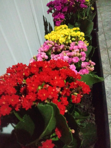 Imagem 9 da galeria do anúncio: Venha morar no residencia hostel unid  Pirituba