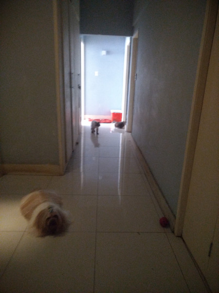 Imagem 10 da galeria do anúncio: Maravilhoso quarto na praia só para mulheres!