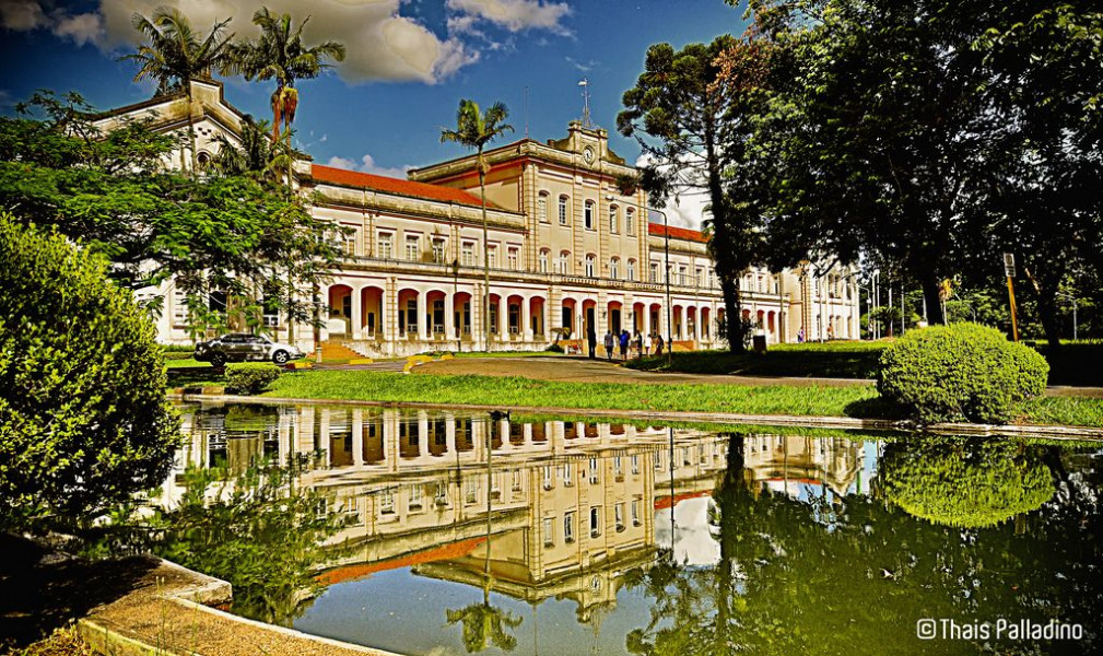 Imagem 9 da galeria do anúncio: Quarto suíte individual Piracicaba - Esalq