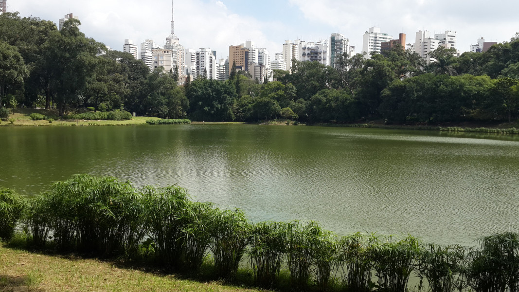 Imagem 13 da galeria do anúncio: Alugo ótimos quarto p/ moças, piscina, Lavanderia,mobiliado,