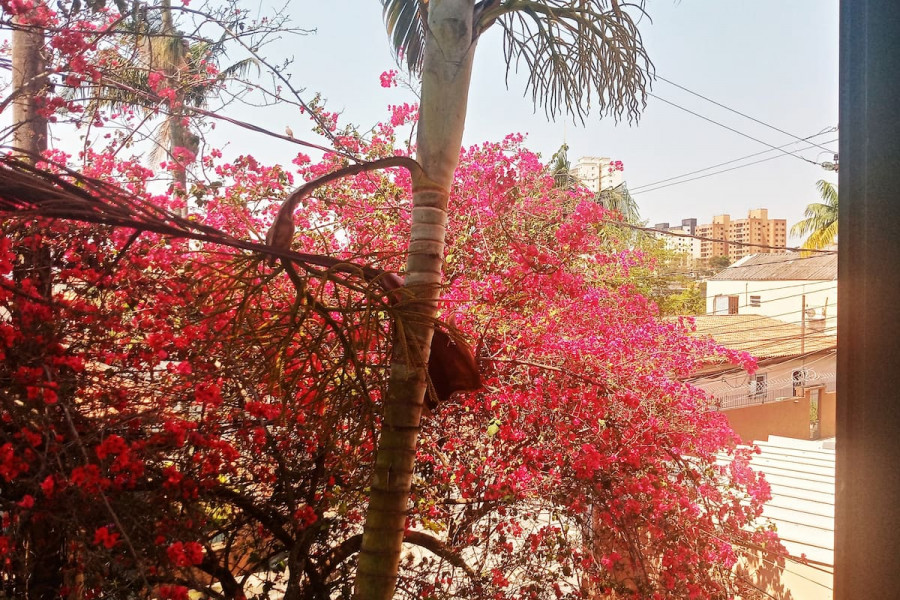 Imagem 17 da galeria do anúncio: 3 min da estação do metro Vila Sonia (linha amarela)