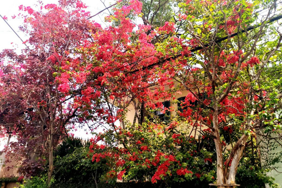 Imagem 19 da galeria do anúncio: 3 min da estação do metro Vila Sonia (linha amarela)