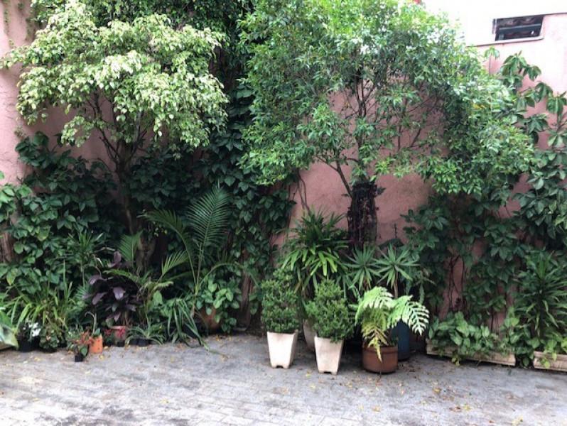 Imagem 3 da galeria do anúncio: PRIVACIDADE e COMODIDADE