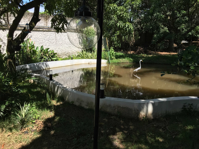 Imagem 11 da galeria do anúncio: Quarto individual 8 minutos da UFMG