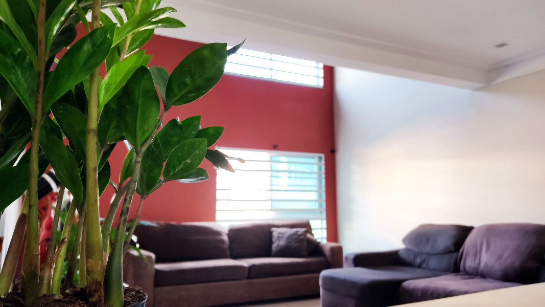 Imagem 5 da galeria do anúncio: 🏠 🍕 Vaga em Casa na Mooca - ZL