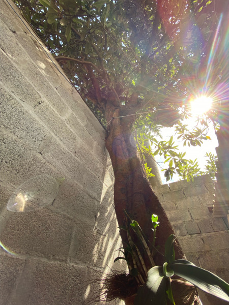 Imagem 14 da galeria do anúncio: Pensão Masculina no Centro de Jundiai Hospedes Selecionados