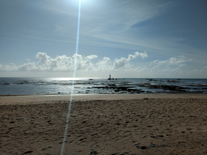 Imagem 4 da galeria do anúncio: Ap Ponta Verde 50m praia