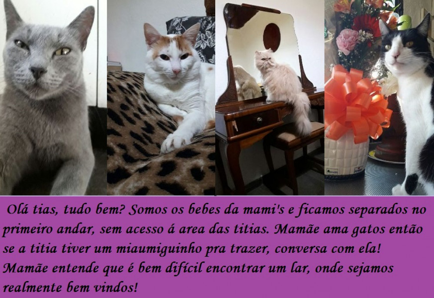 Imagem 11 da galeria do anúncio: Alugo Quartos Ind. Só P/Moças, Px.Metrô Penha!