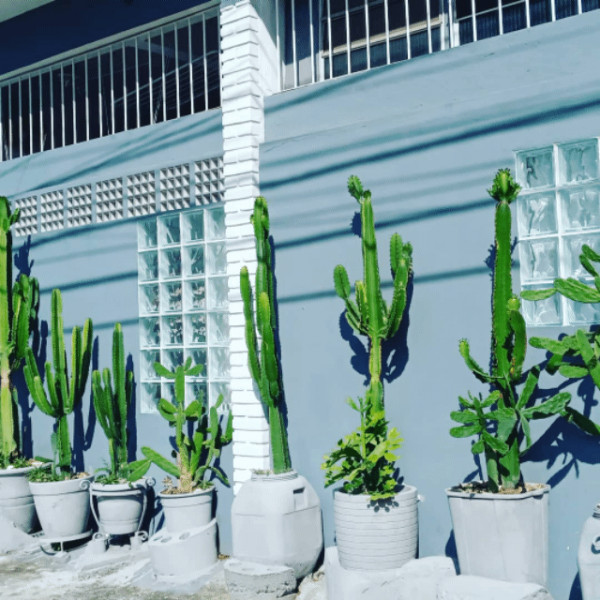 Imagem 1 da galeria do anúncio: Hospedaria e pensão para Homens Trem da Lapa  SP Zona Oeste