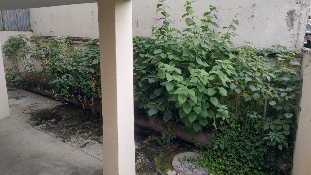 Imagem 17 da galeria do anúncio: Vaga/Quarto em Casa no Centro