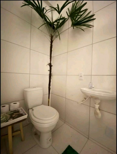 Imagem 14 da galeria do anúncio: Quartos no Casarão do Rio Vermelho