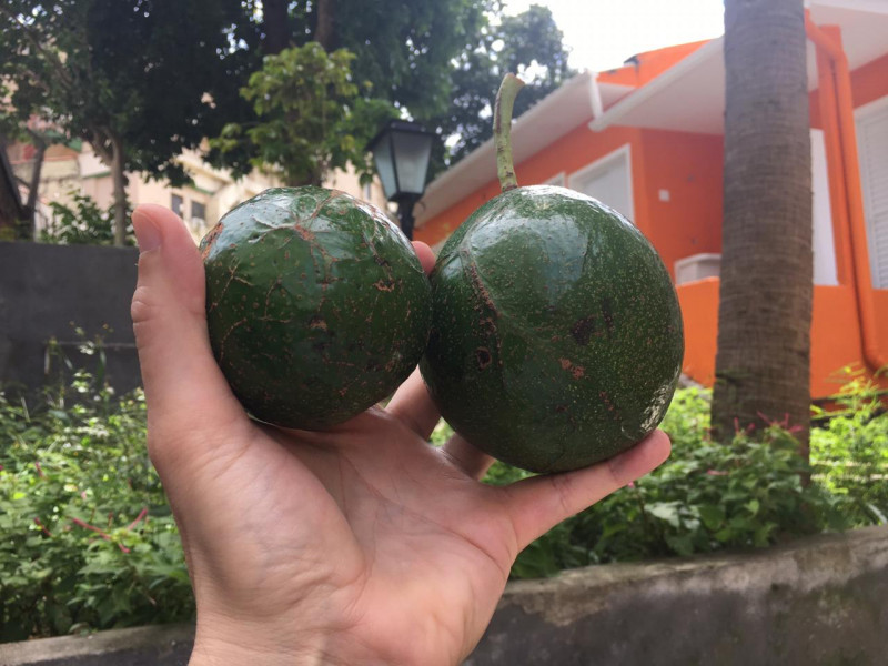 Imagem 1 da galeria do anúncio: Quartos individuais próximo Metrô Santa Cruz