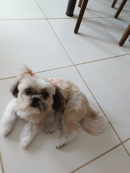 Imagem 7 da galeria do anúncio: Quarto compartilhado com a casa