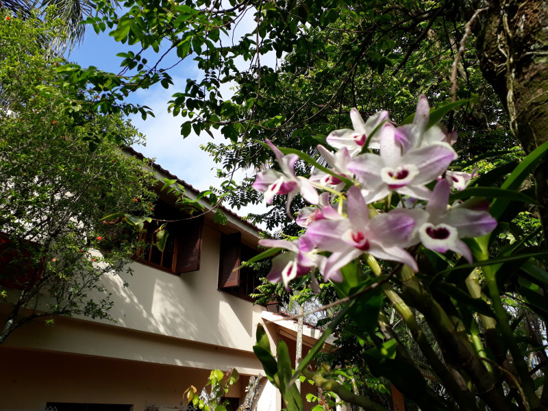 Imagem 11 da galeria do anúncio: quarto individual com despesas inclusas