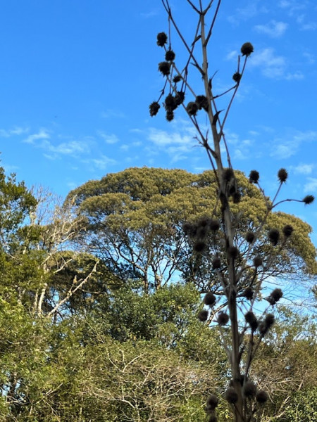 Imagem 3 da galeria do anúncio: Quarto Home Office - Chácara
