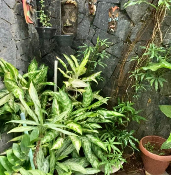 Imagem 5 da galeria do anúncio: quartos mobiliados mensal e temporada.