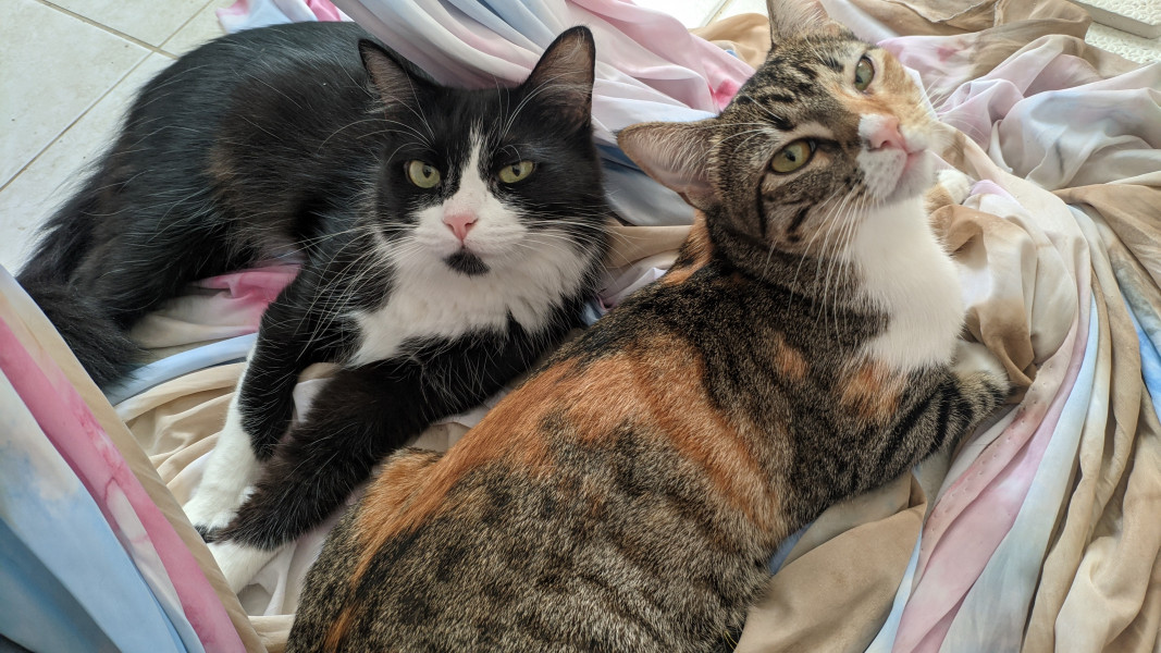 Imagem 12 da galeria do anúncio: Suíte individual mobiliada na Praça Seca