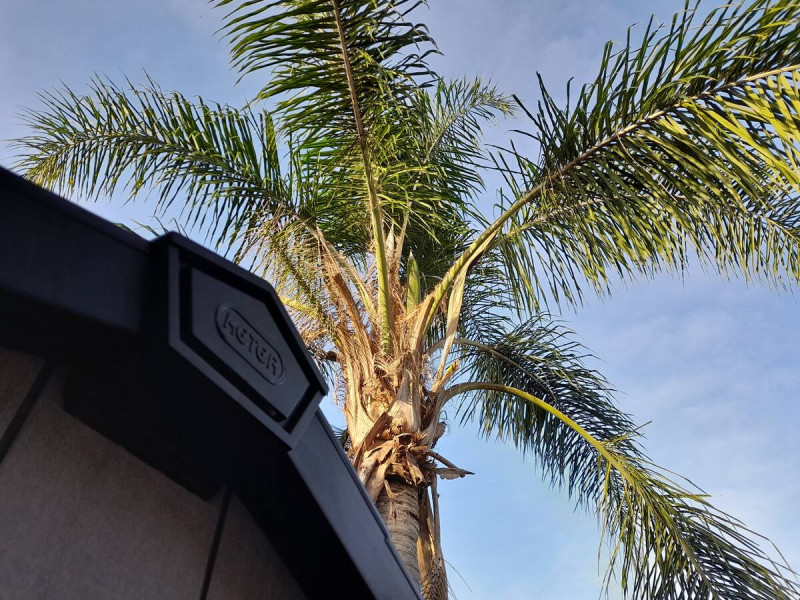 Imagem 8 da galeria do anúncio: quarto individual com despesas inclusas