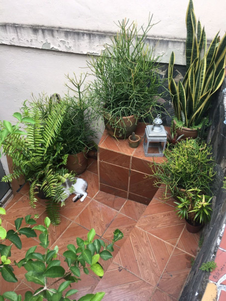 Imagem 11 da galeria do anúncio: Quarto individual  20 minutos da UFRJ