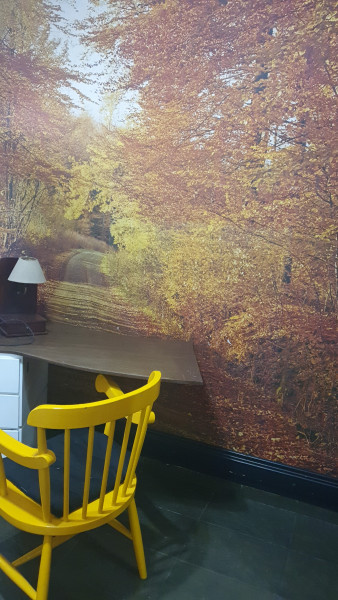 Imagem 13 da galeria do anúncio: Aluguel de quartos para mocas