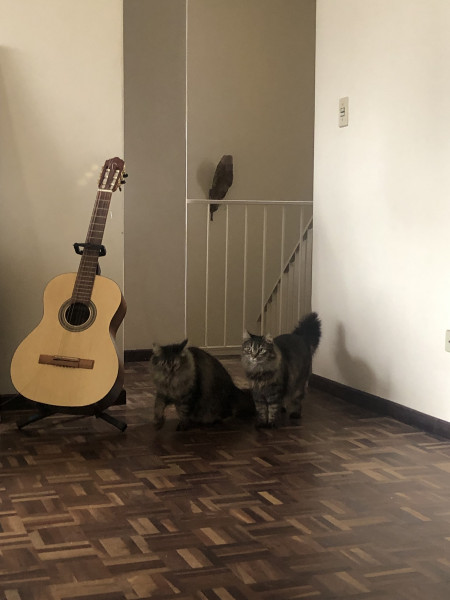 Imagem 2 da galeria do anúncio: Casa Juvevê