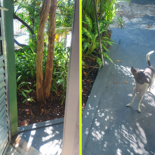 Imagem 8 da galeria do anúncio: Quarto individual no Metrô Largo 13 de Maio