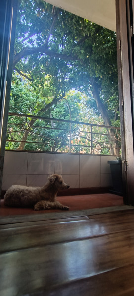 Imagem 19 da galeria do anúncio: Suite ao lado do metro e praia de Botafogo