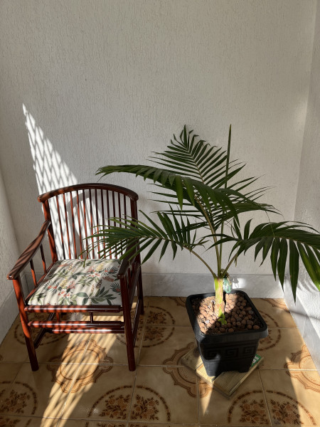 Imagem 6 da galeria do anúncio: Fique no coração do Prado