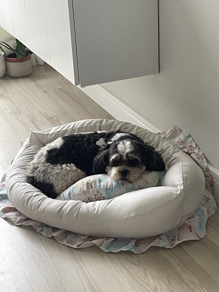 Imagem 8 da galeria do anúncio: Quarto para meninas LEIA O ANUNCIO ANTES!