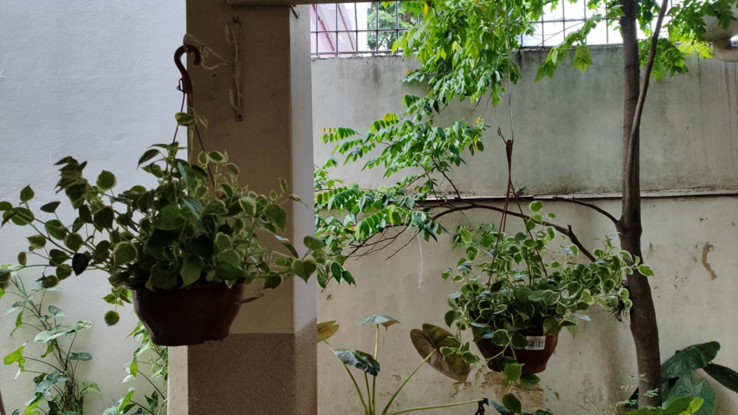 Imagem 11 da galeria do anúncio: quartos individuais mobiliados