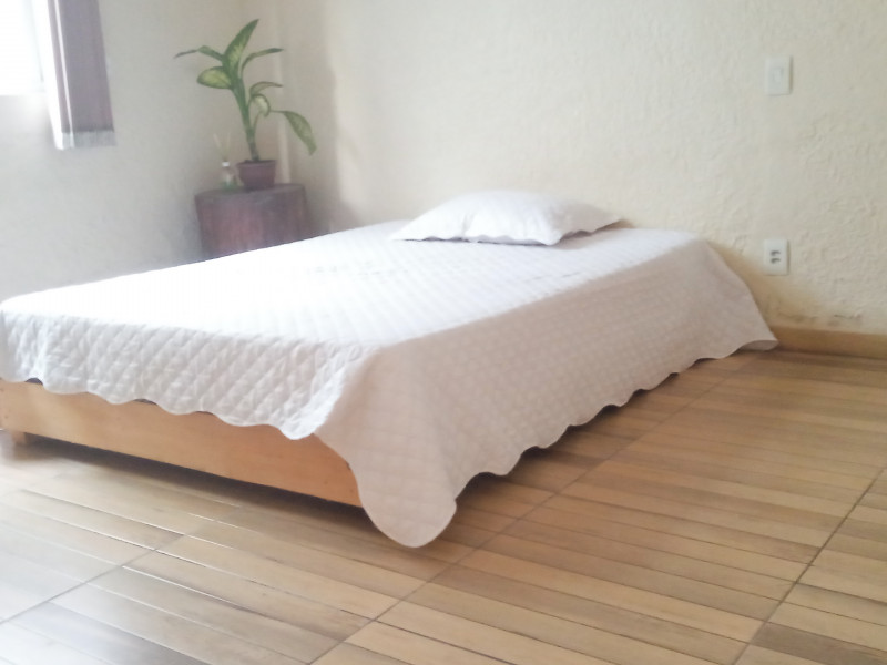 Imagem 1 da galeria do anúncio: Quarto grande em linda casa com natureza em Santa Teresa